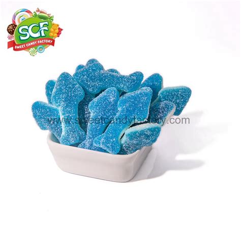 Animal blue and white shark shaped gummy candy - sweetcandyfactory