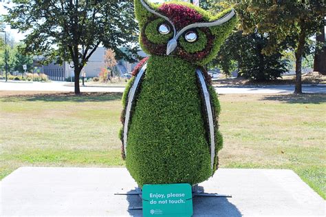 Eco-Sculptures in Burnaby: Animals Made From Metal and Plants - WanderWisdom - Travel