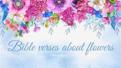 114+ Bible Verses About Flowers [See God's Garden]