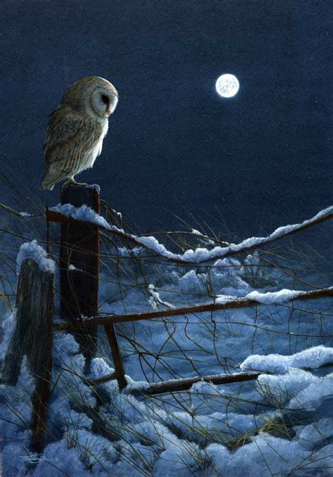 Galleries | Jeremy Paul | Owl painting, Owl, Wildlife artists