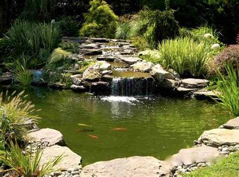 25 Pond Waterfall Designs and Ideas