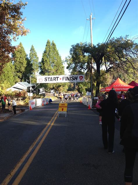 The Honey Hut: Apple Hill Harvest Run.