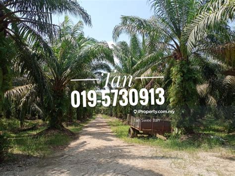 Mukim Hutan Melintang, Hutan Melintang Agricultural Land for sale ...