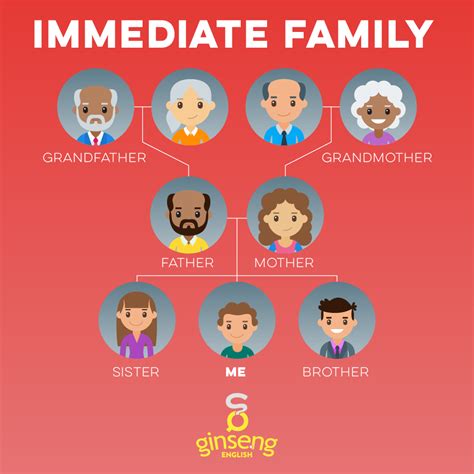 Immediate Family | Ginseng English | Learn English