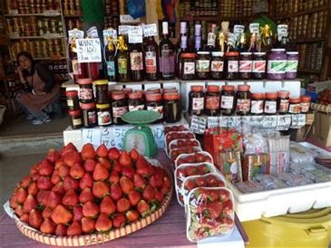 STRAWBERRY FARM - Baguio