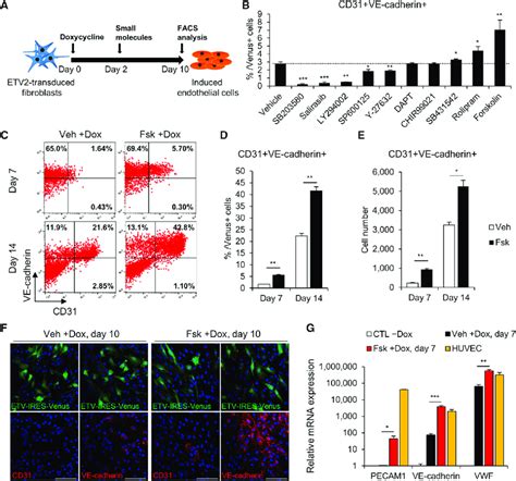 Small Molecule Screening Identifies the cAMP Signaling Pathway as a ...