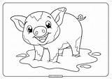 Baby Animal Pages Pig Coloring sketch template