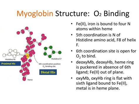 PPT - Chemical Biology 03 BLOOD PowerPoint Presentation, free download ...