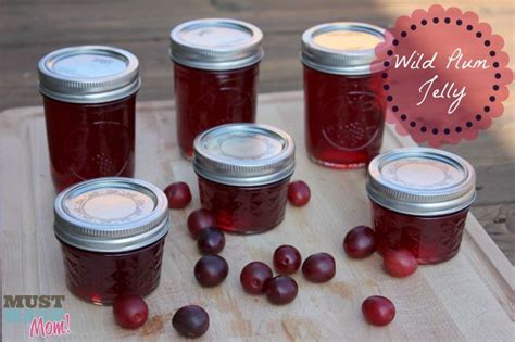 Wild Plum Jelly Recipe How To Can Your Own! - Must Have Mom