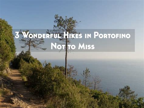 Hiking Portofino: 3 Wonderful Trails Not to Miss on the Italian Riviera