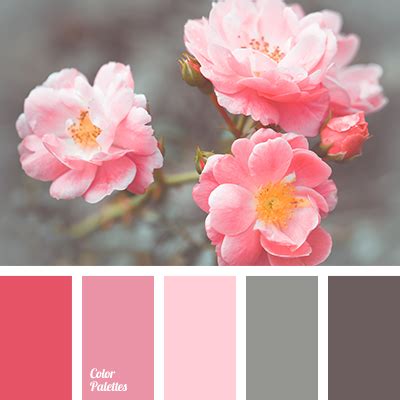 delicate shades of pink | Page 3 of 5 | Color Palette Ideas