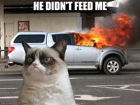 Grumpy Cat Car on Fire - Imgflip