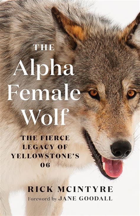 The Alpha Female Wolf: The Fierce Legacy of Yellowstone's 06 by Rick ...