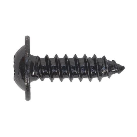 Self Tapping Screw 4.8 x 16mm Flanged Head Black Pozi BS 4174 Pack of ...