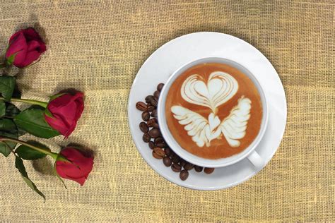 Free Images : table, liquid, cafe, white, flower, aroma, cappuccino ...