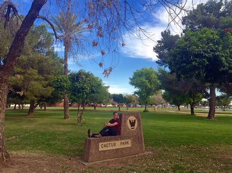 History Adventuring: The trees of Cactus Park, Phoenix, Arizona