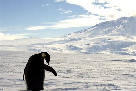 Antarctica: What Would Happen if All the Volcanoes Buried Beneath the ...