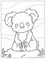 Online Koala Coloring Pages sketch template