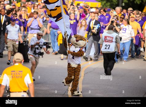 Rouge, LA, USA. 17th Oct, 2015. LSU Tigers mascot Mike the Tiger before ...