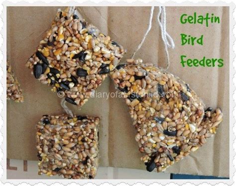 Gelatin Bird Feeders For The Garden (With Recipe) - Diary of a First Child