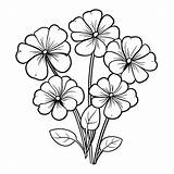 Printable Black And White Flower Images To Color  Infoupdateorg sketch template
