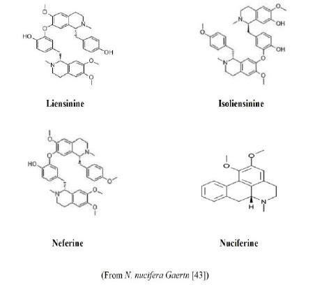 Chemical structure of alkaloids. | Download Scientific Diagram