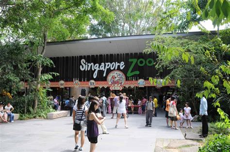 Singapore Zoo - Ticket Price, Entrance Fee, Opening Hours & Map