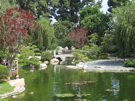 LA MA Long Beach Earl Burns Miller Japanese Garden CSULB (3 ...