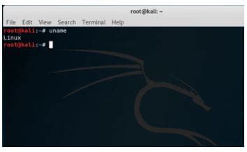 Kali Linux Terminal | Working & uses of commands in Kali Linux Terminal