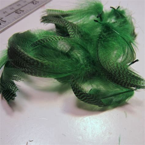 Green Mallard Feathers Fl Craft Feathers Fly Tying Fascinators - Etsy