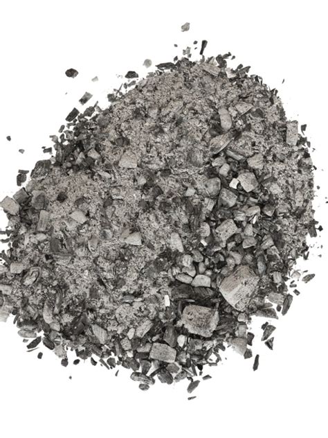 Wood Ash Fertilizer - Should I Put Ashes In My Garden