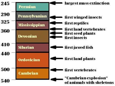 Carboniferous-Permian Periods