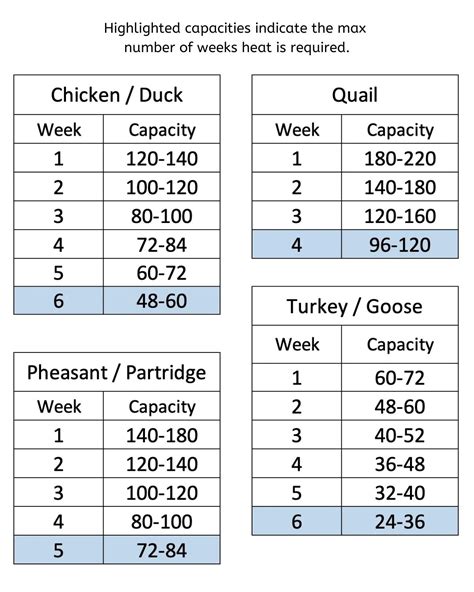 15" Tall Chick Brooder - 4 Layer (Stackable, Easy-to-Clean) Cimuka – Hatching Time