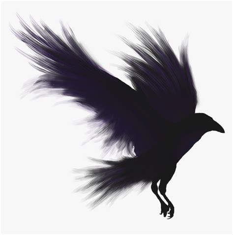 Crows Shadow Emblem - Crow Png, Transparent Png - kindpng