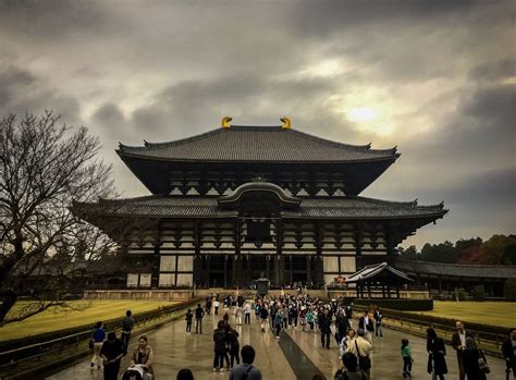 Looking For Peacefulness In The Amazing Nara Park, Japan - Hortense Travel