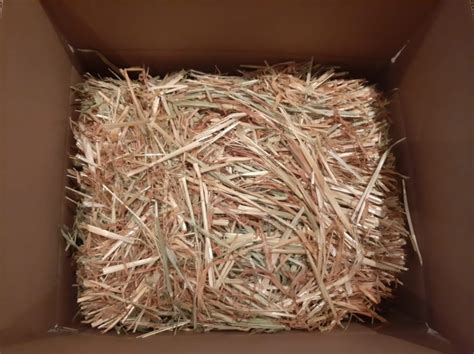 Oat Hay 5KG Mini Bale (Batch 22nd Oct 2024) – Willowlicious