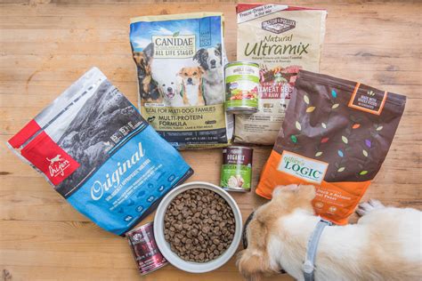 The Best Dog Food of 2020 - Your Best Digs