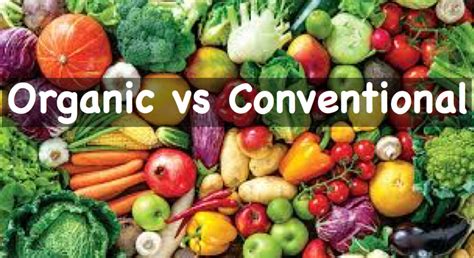 Organic vs Conventional