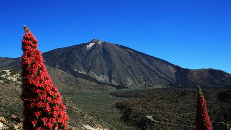 Canary Islands Weather in May - Which island is hottest in May?