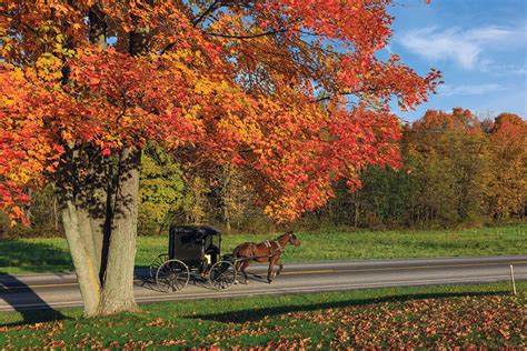 See Ohio's Fall Foliage from New Perspectives