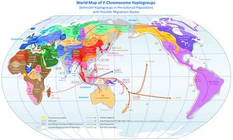 A Patrilineal Map of the World