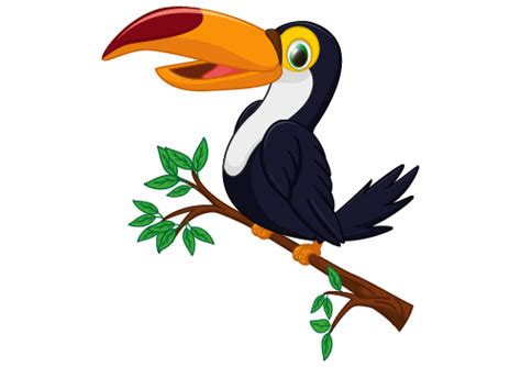 Cartoon Toucan Pictures – Clipartix