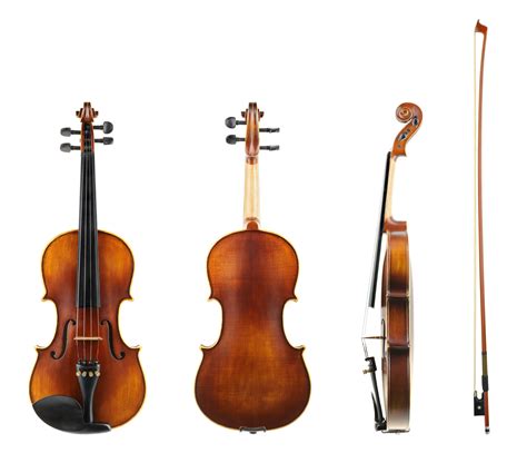 13 Types of Violins Every Violinist Should Know - Violinspiration