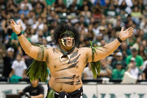 The Complete Guide To The University Of Hawaii'S Mascot - Hawaii Star