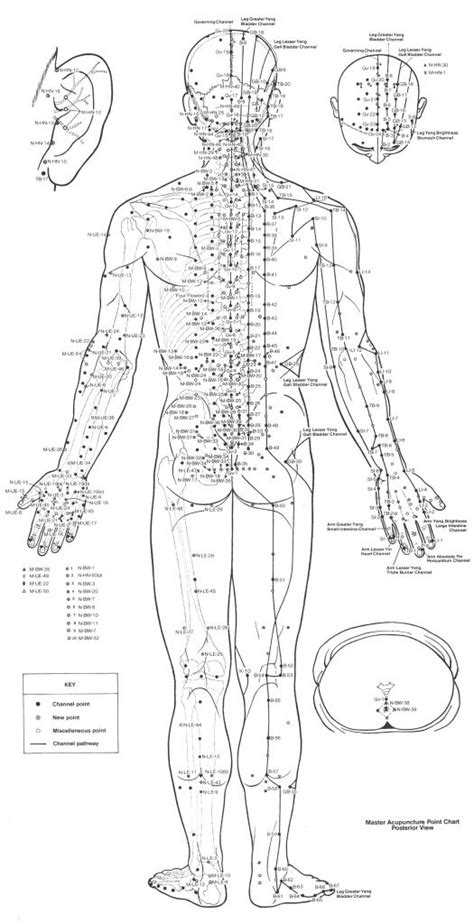 126 best Meridian Charts images on Pinterest | Massage, Acupuncture points and Traditional ...