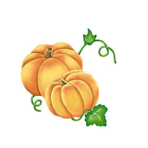 Drawing Cartoon Thanksgiving Pumpkin Watercolor Flowers Animated ...