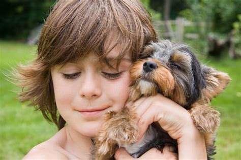 Best small breeds for families – SheKnows