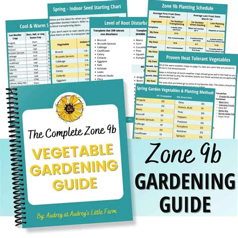 The Best Zone 9b Vegetables to Grow - Audrey's Little Farm