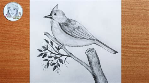 How to draw a Bird sitting on a Tree step by step || Bird Pencil Sketch ...