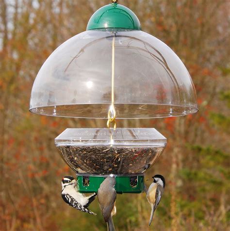 Droll Yankees Big Top Bird Feeder, Quality Domed Bird Feeders at Bluebird Landing